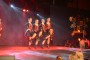 Thumbs/tn_Dansmarieke Festival 2016 215.jpg